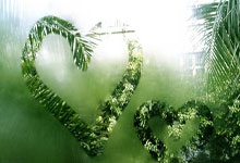 U友谊赛:谢尔基造球+铁棍戴帽,法国-英格兰.