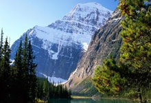 体坛名场面王哲林新婚现场男篮队友悉数助阵,跟新娘现最萌身高差.